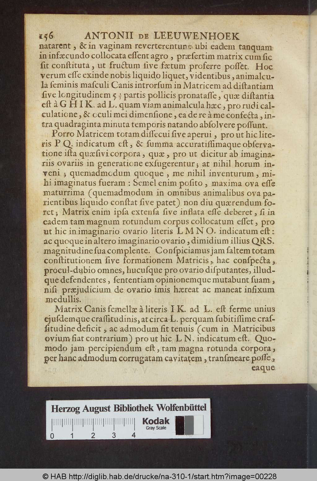 http://diglib.hab.de/drucke/na-310-1/00228.jpg
