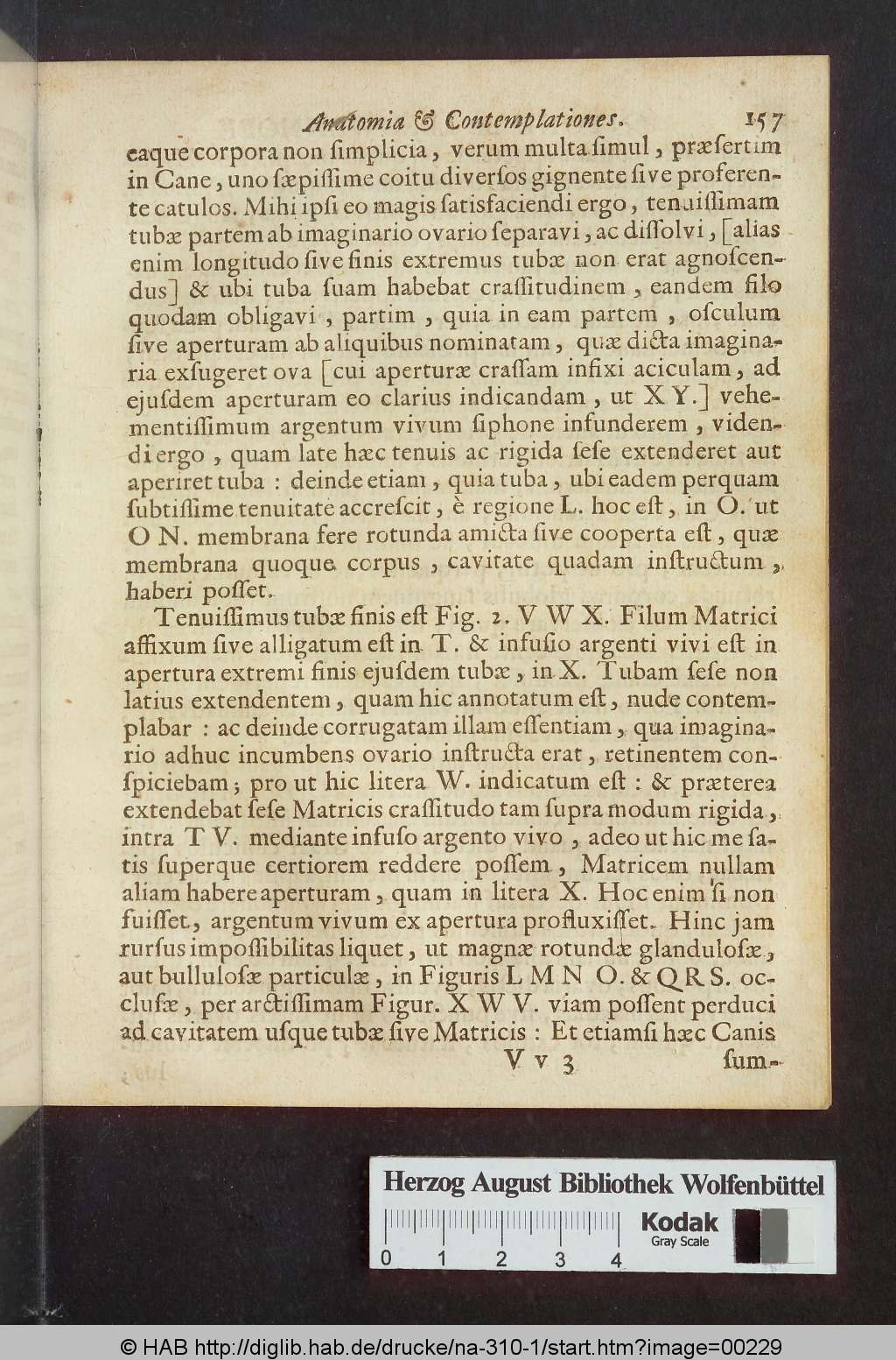 http://diglib.hab.de/drucke/na-310-1/00229.jpg