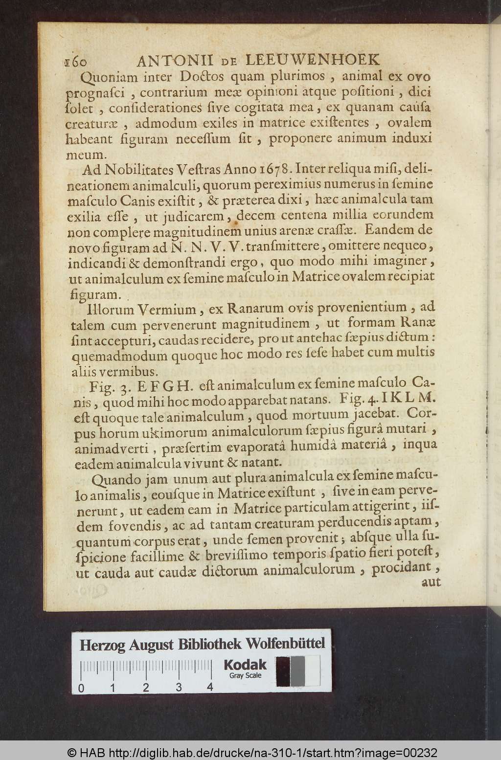http://diglib.hab.de/drucke/na-310-1/00232.jpg