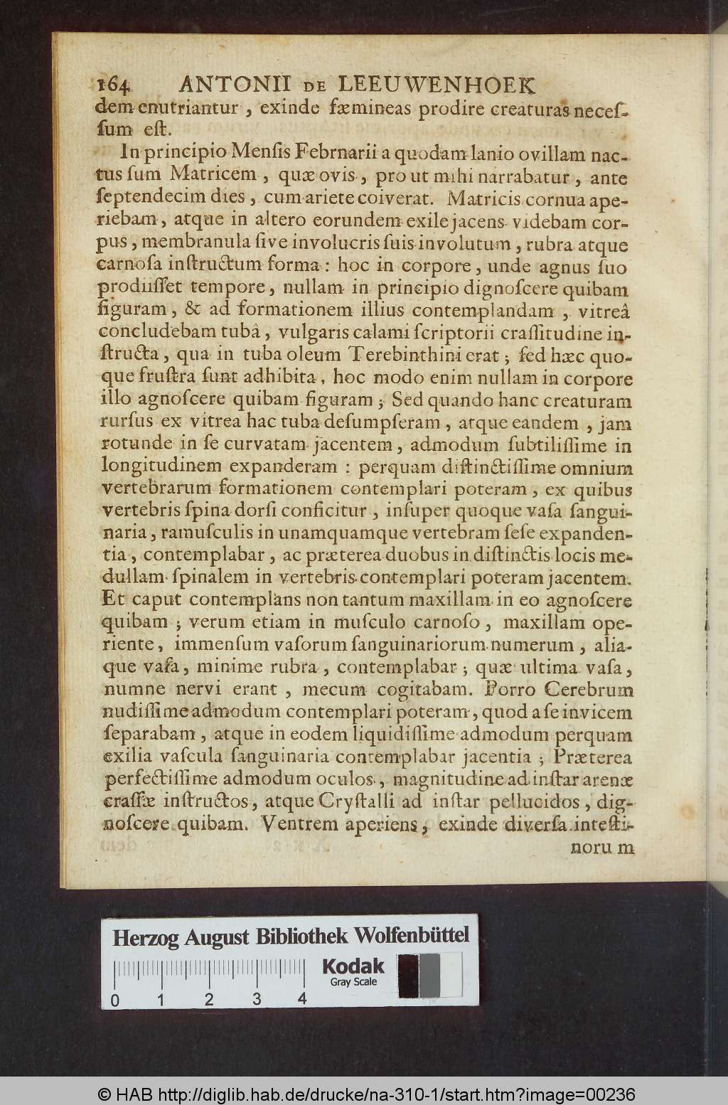 http://diglib.hab.de/drucke/na-310-1/00236.jpg