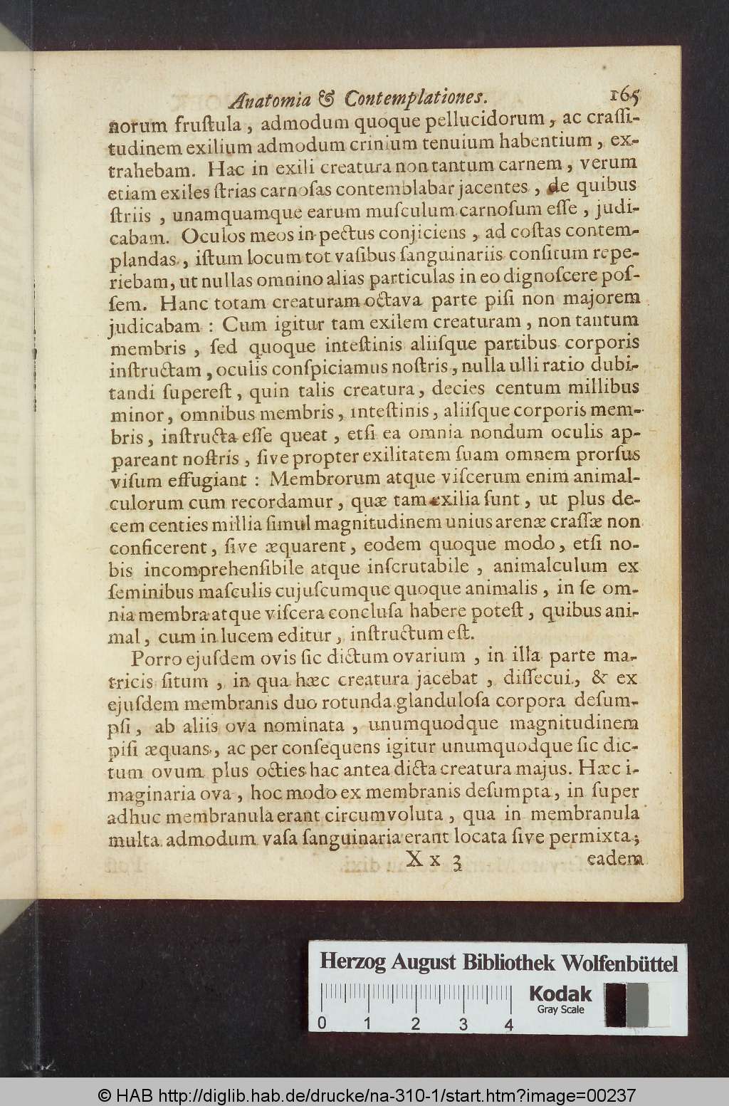 http://diglib.hab.de/drucke/na-310-1/00237.jpg