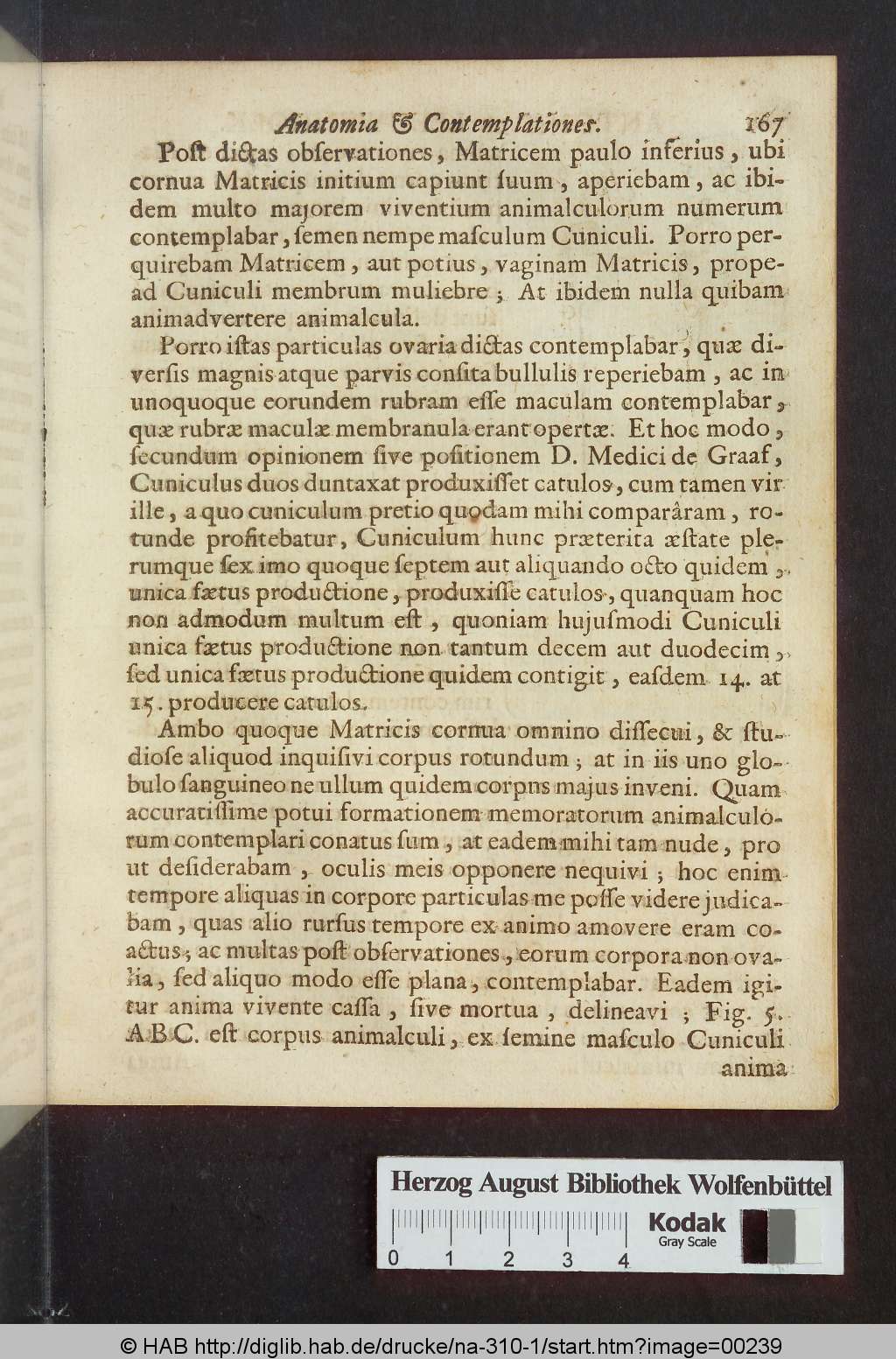 http://diglib.hab.de/drucke/na-310-1/00239.jpg