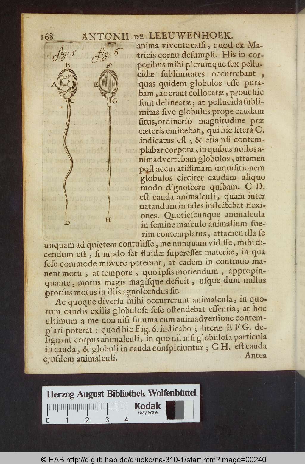 http://diglib.hab.de/drucke/na-310-1/00240.jpg