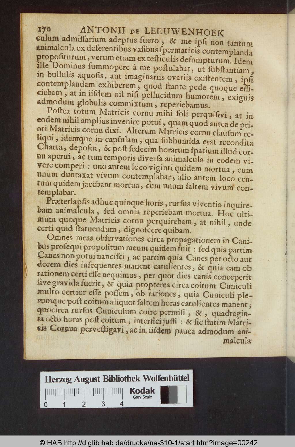 http://diglib.hab.de/drucke/na-310-1/00242.jpg
