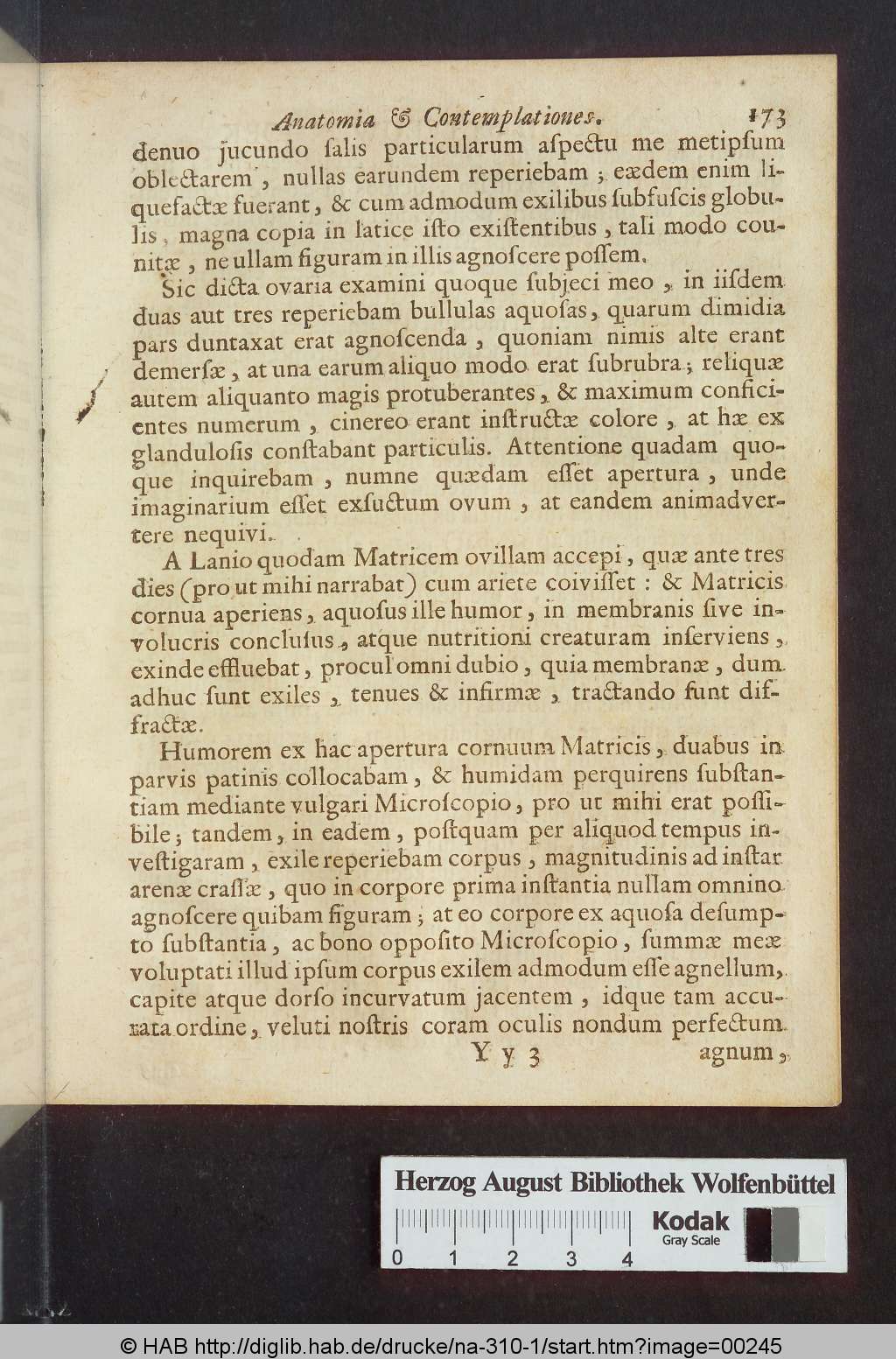 http://diglib.hab.de/drucke/na-310-1/00245.jpg