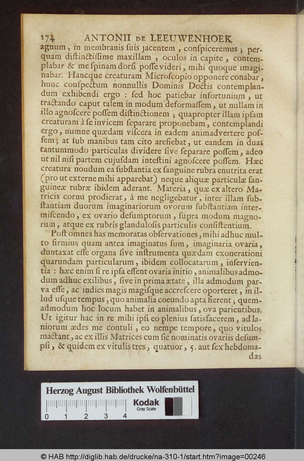 http://diglib.hab.de/drucke/na-310-1/00246.jpg