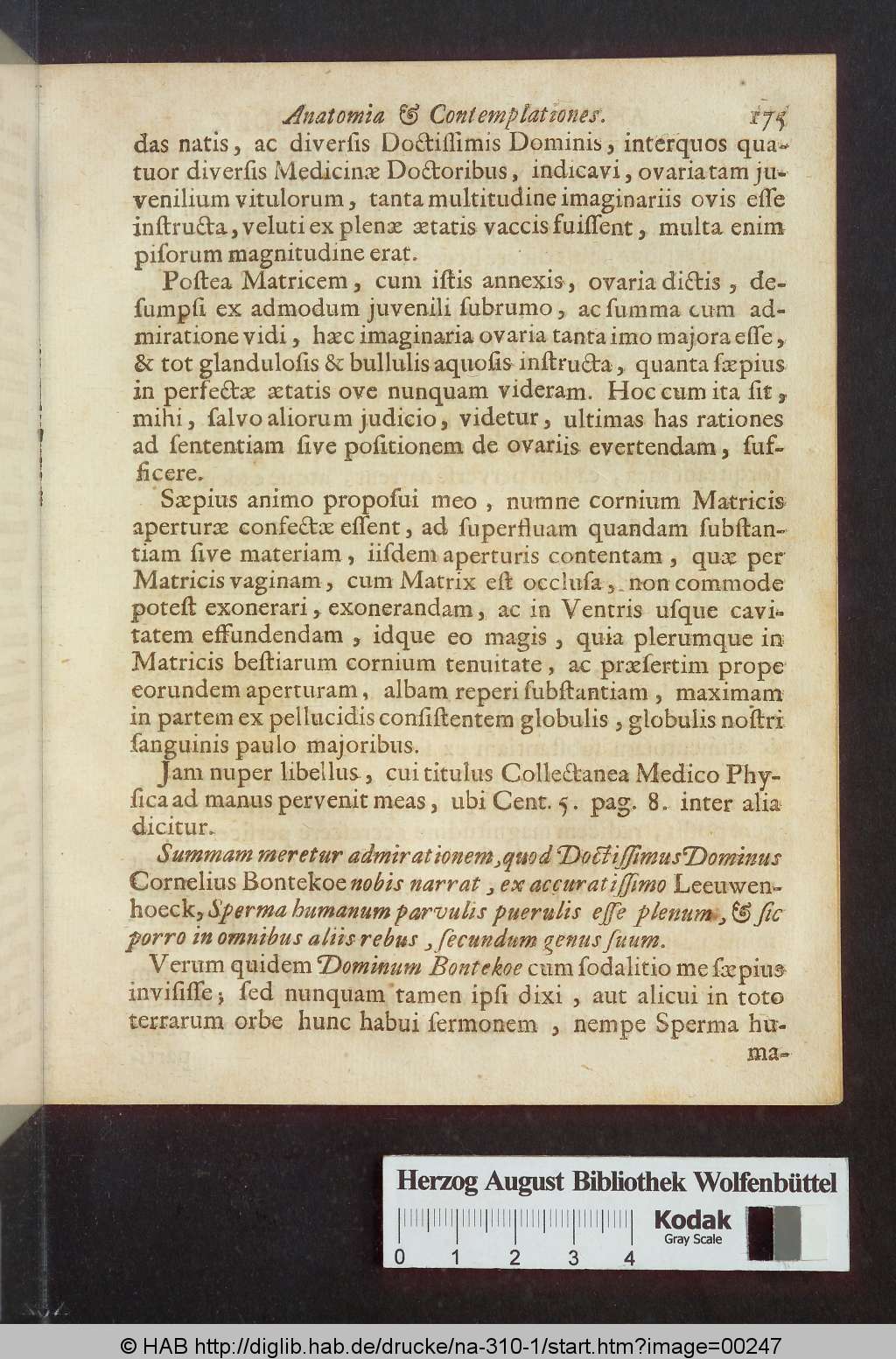 http://diglib.hab.de/drucke/na-310-1/00247.jpg