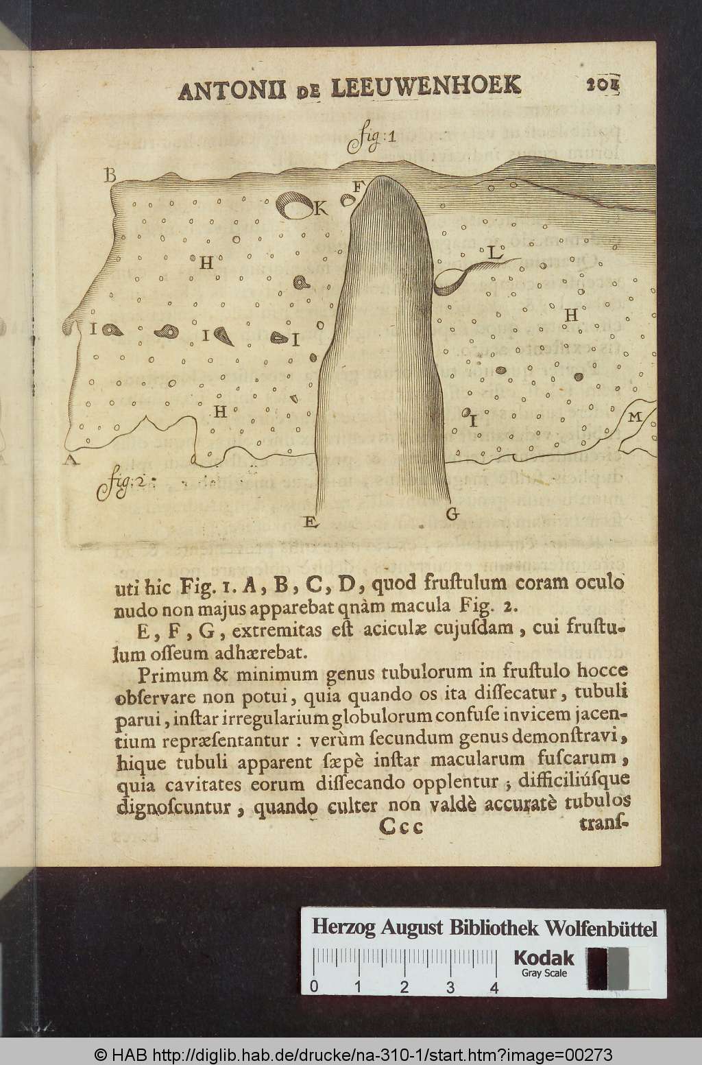 http://diglib.hab.de/drucke/na-310-1/00273.jpg