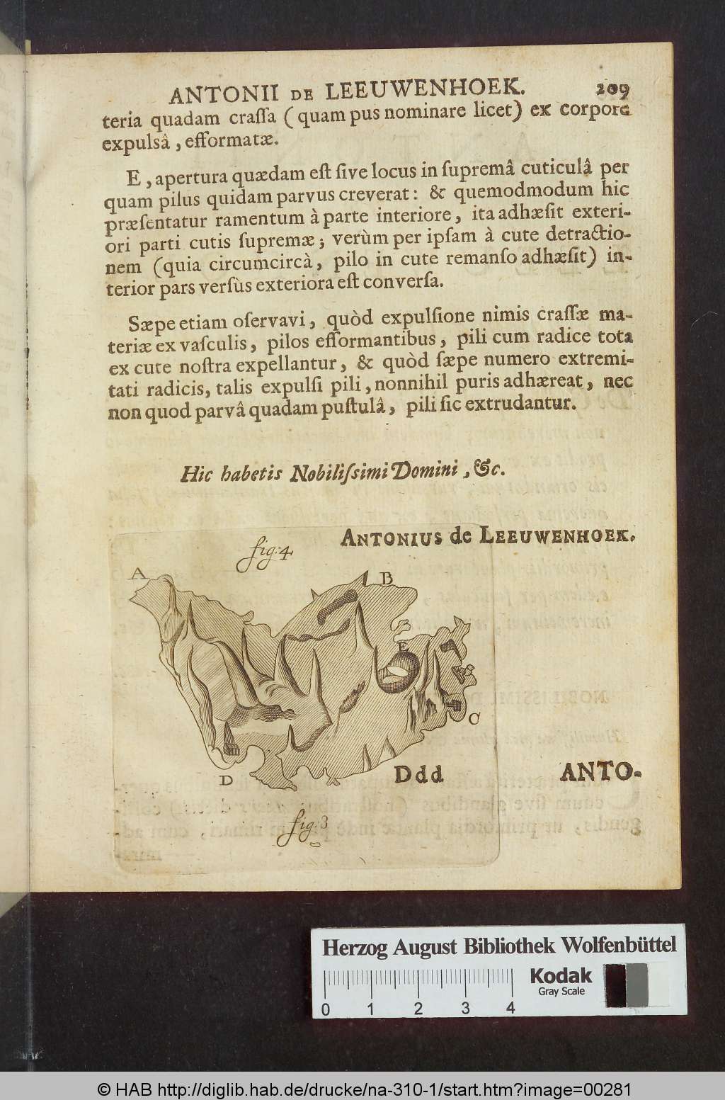 http://diglib.hab.de/drucke/na-310-1/00281.jpg
