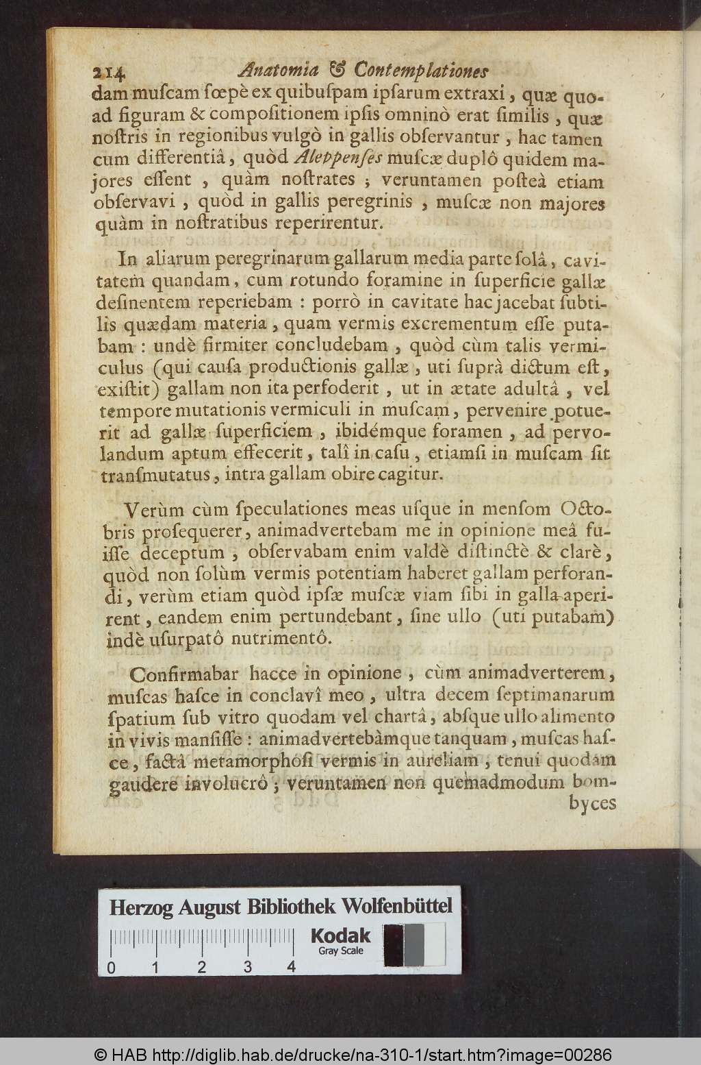 http://diglib.hab.de/drucke/na-310-1/00286.jpg