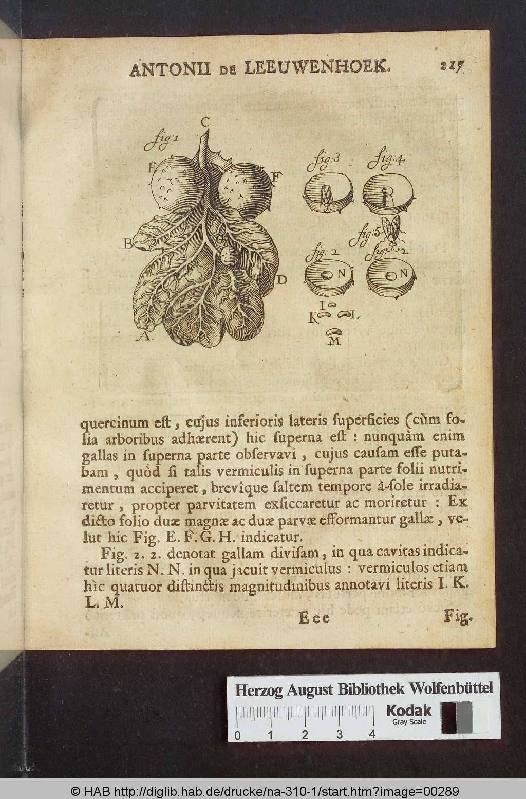 http://diglib.hab.de/drucke/na-310-1/00289.jpg