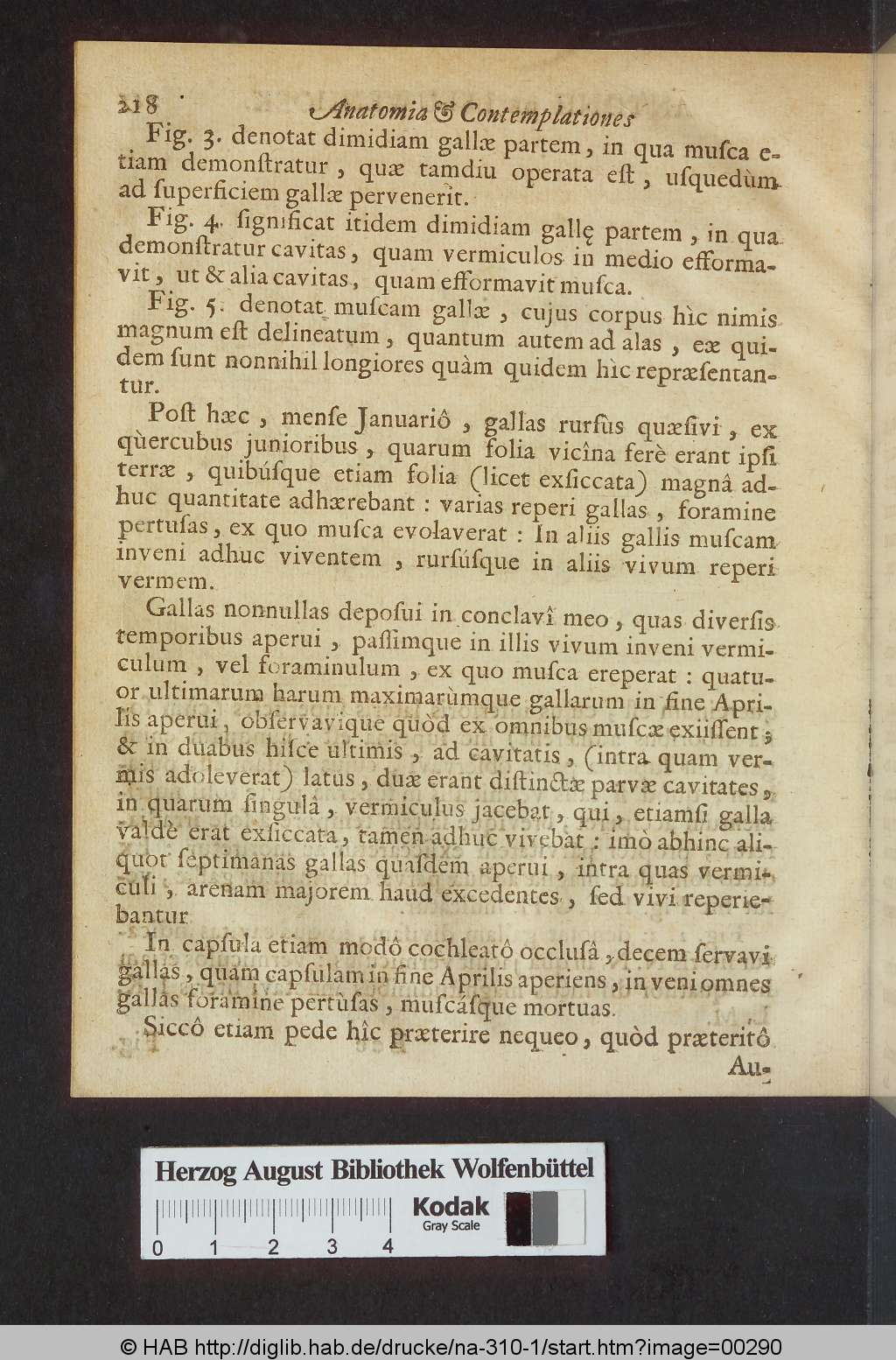 http://diglib.hab.de/drucke/na-310-1/00290.jpg