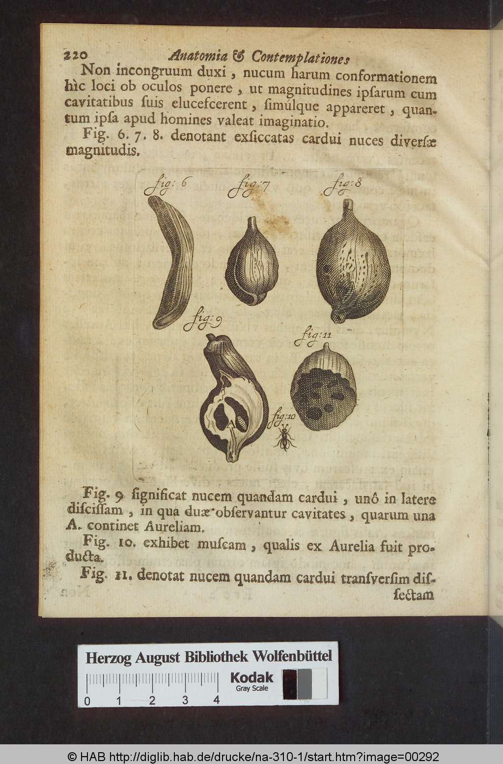 http://diglib.hab.de/drucke/na-310-1/00292.jpg