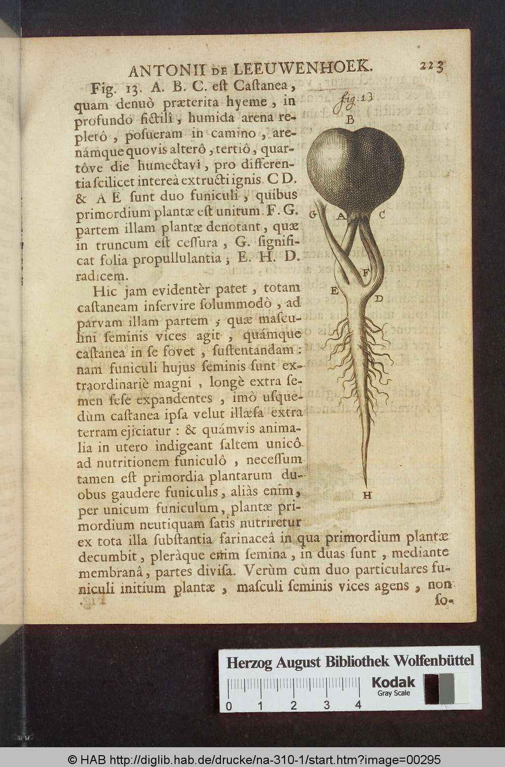 http://diglib.hab.de/drucke/na-310-1/00295.jpg