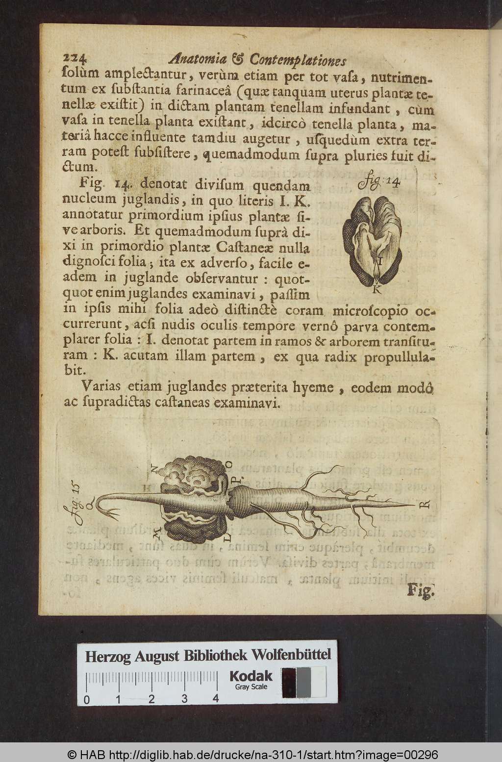 http://diglib.hab.de/drucke/na-310-1/00296.jpg