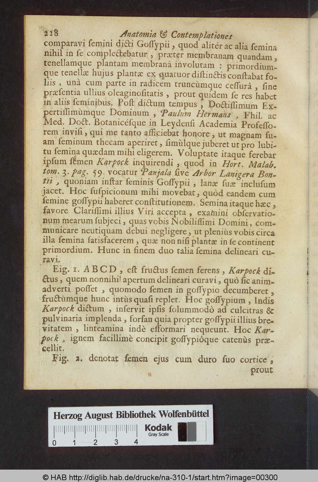 http://diglib.hab.de/drucke/na-310-1/00300.jpg