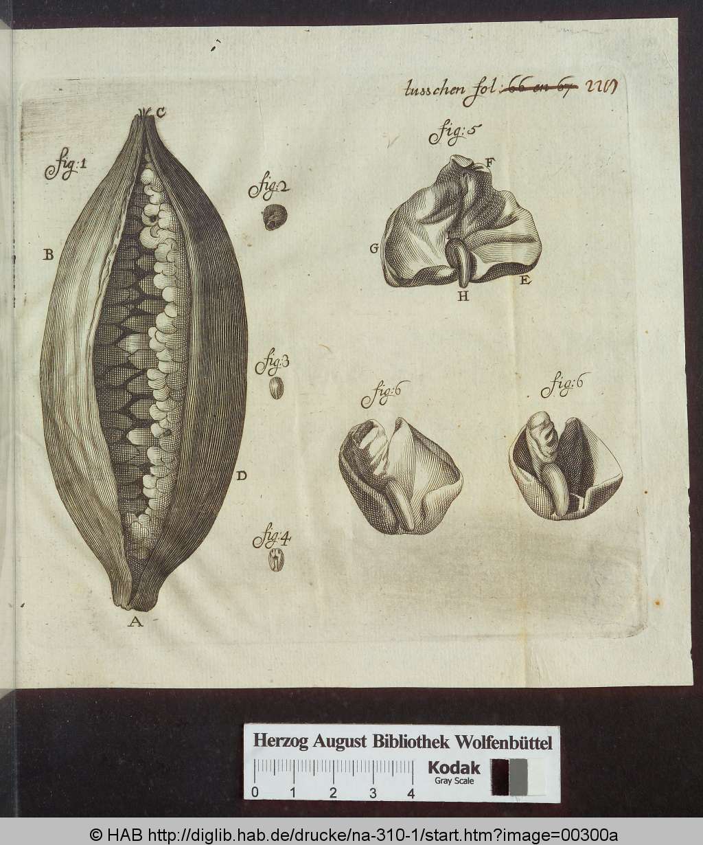 http://diglib.hab.de/drucke/na-310-1/00300a.jpg