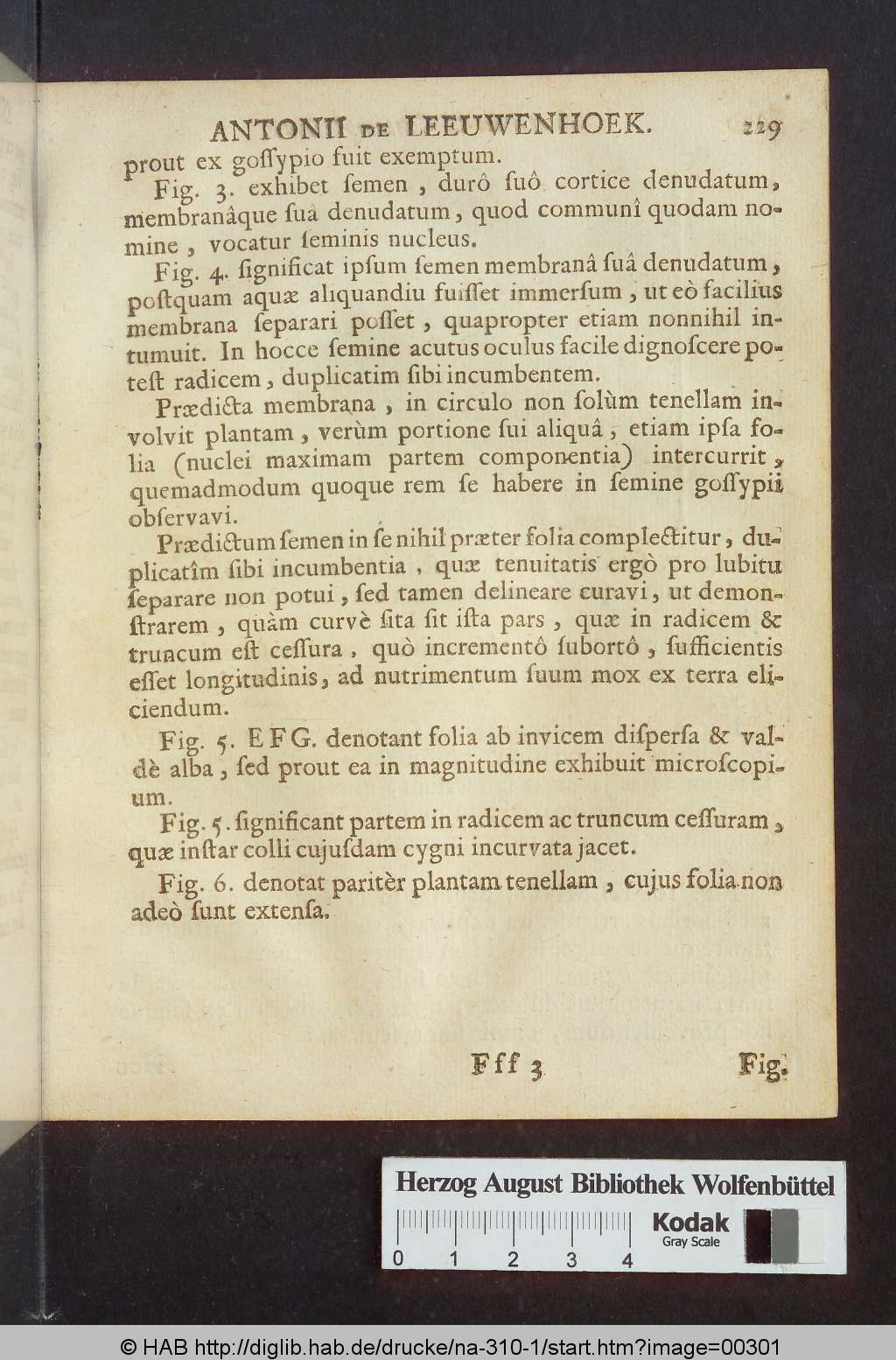http://diglib.hab.de/drucke/na-310-1/00301.jpg
