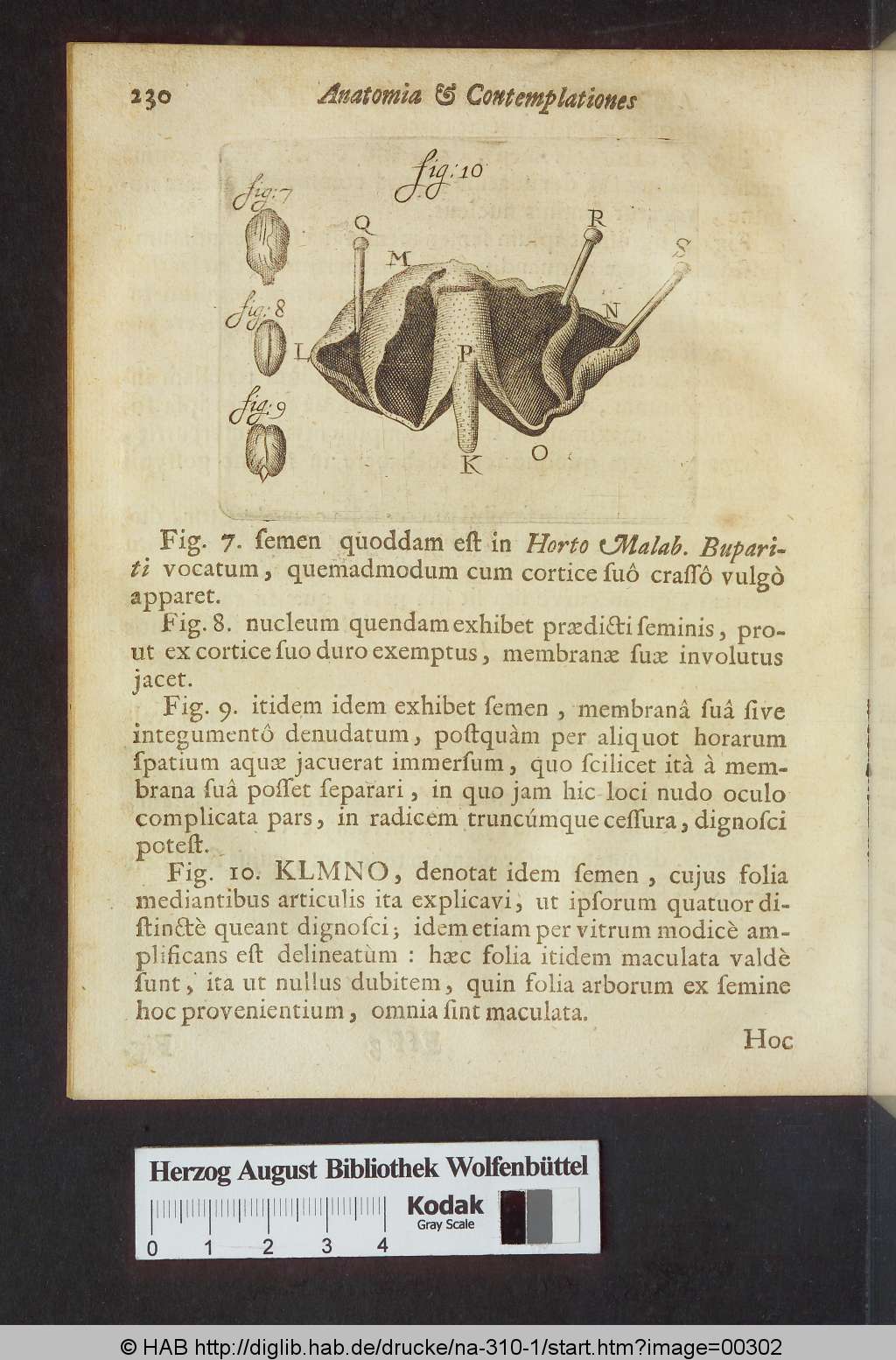 http://diglib.hab.de/drucke/na-310-1/00302.jpg