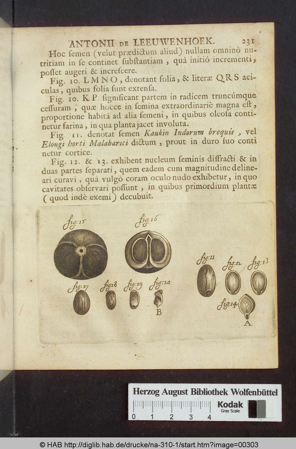 http://diglib.hab.de/drucke/na-310-1/00303.jpg