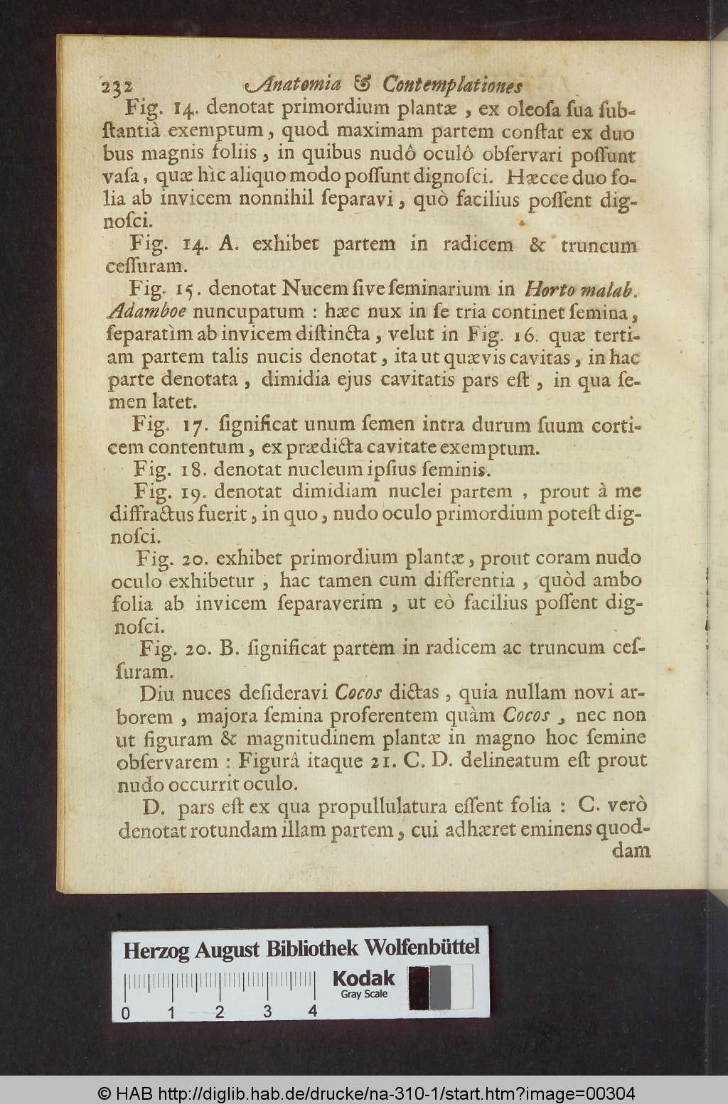 http://diglib.hab.de/drucke/na-310-1/00304.jpg