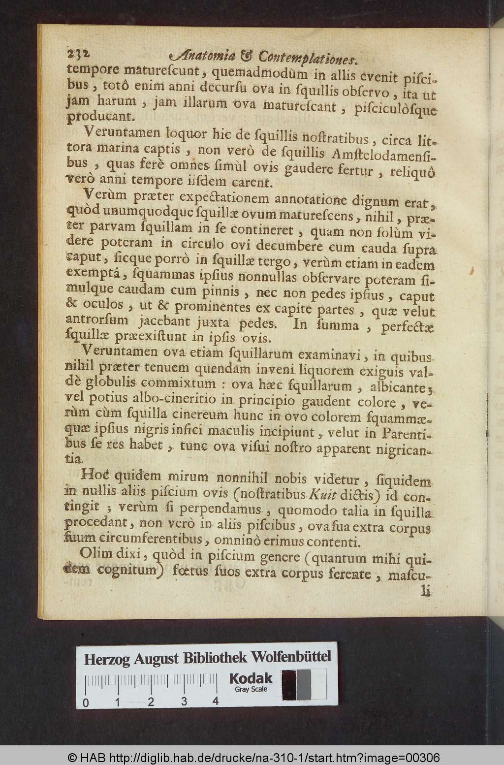 http://diglib.hab.de/drucke/na-310-1/00306.jpg