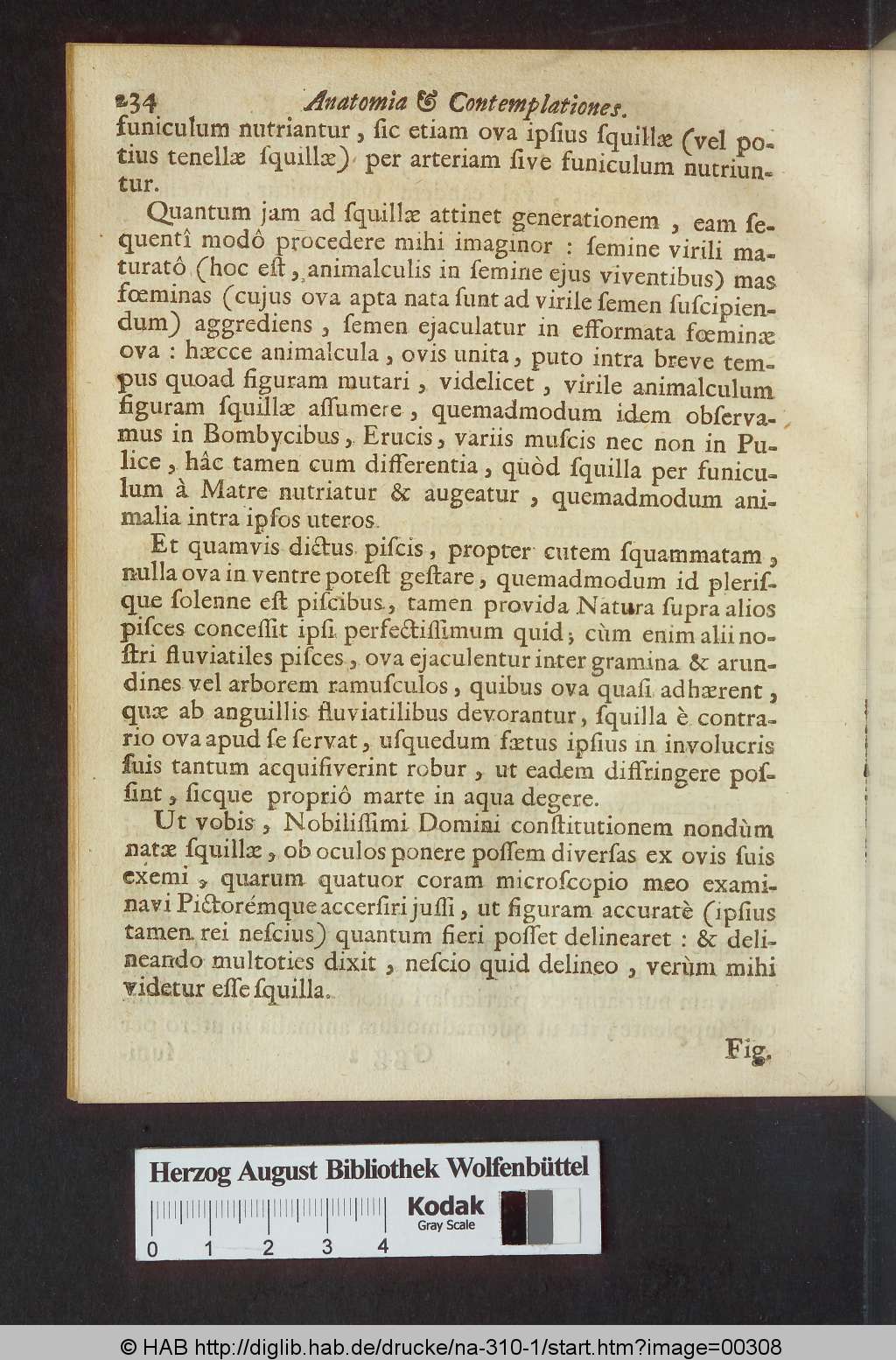 http://diglib.hab.de/drucke/na-310-1/00308.jpg