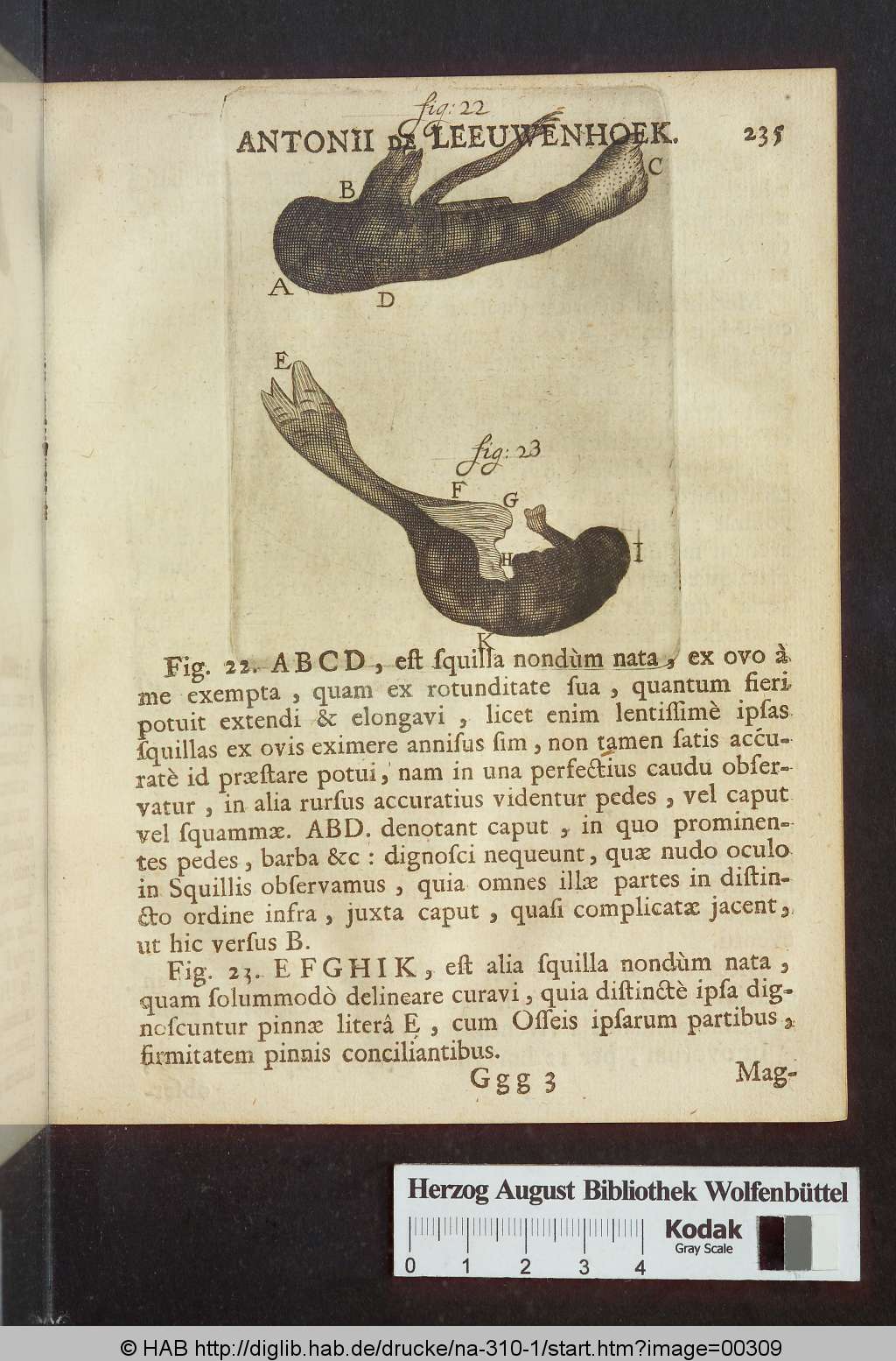 http://diglib.hab.de/drucke/na-310-1/00309.jpg
