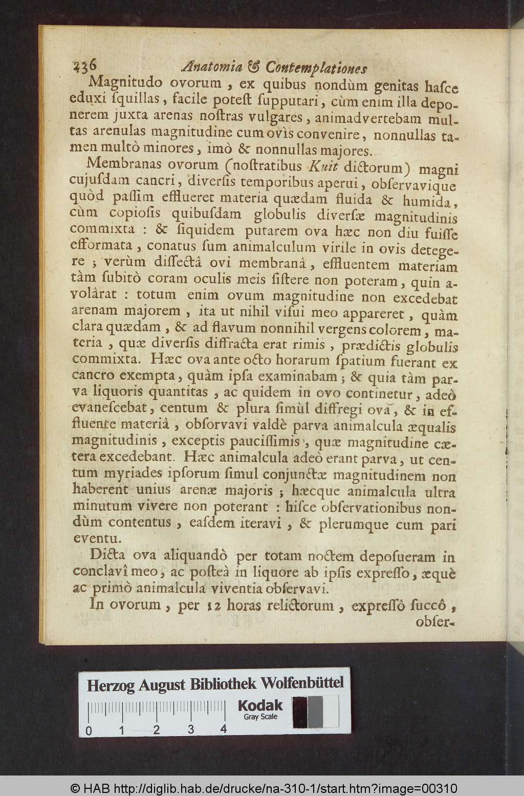 http://diglib.hab.de/drucke/na-310-1/00310.jpg