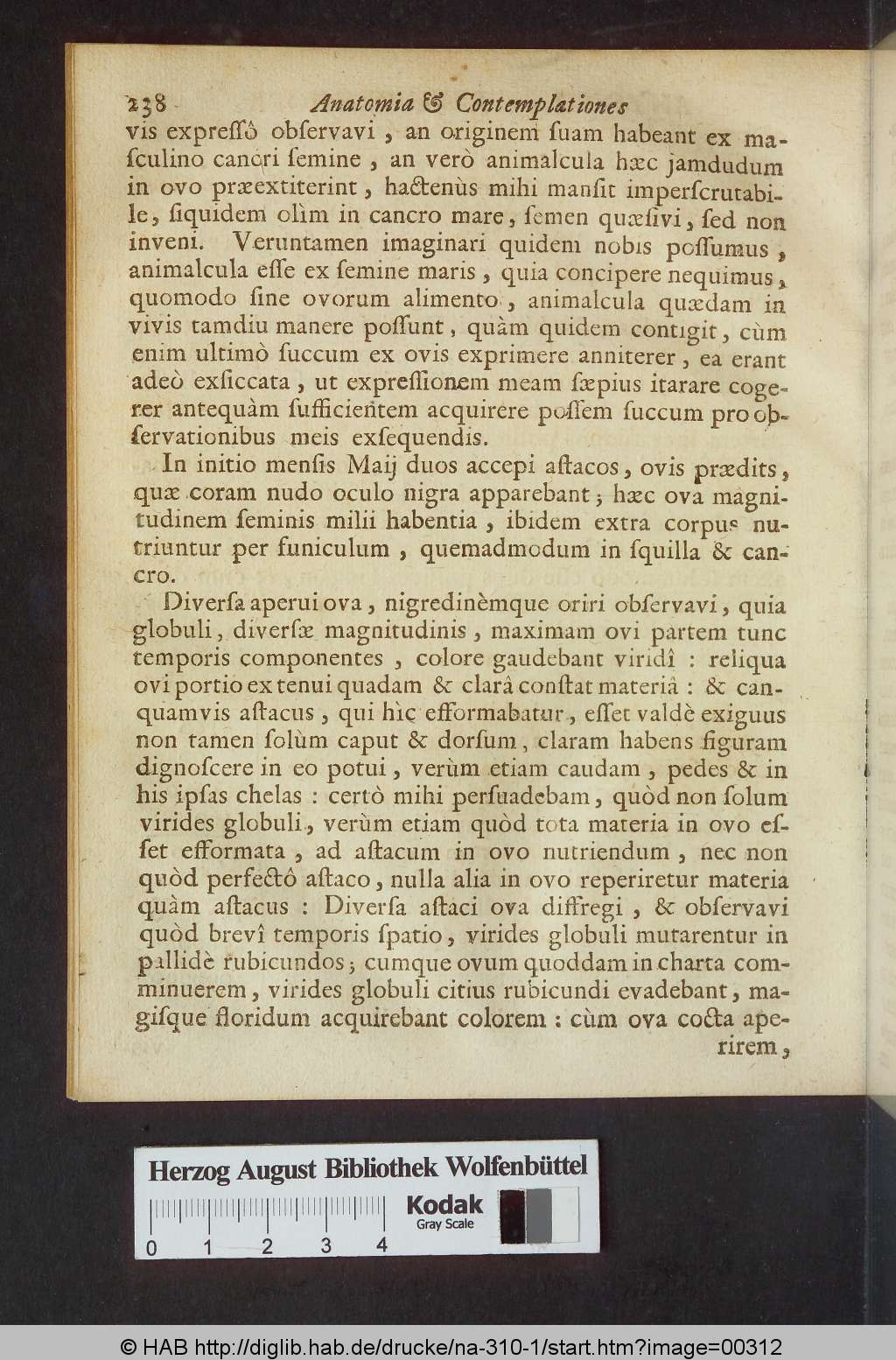 http://diglib.hab.de/drucke/na-310-1/00312.jpg