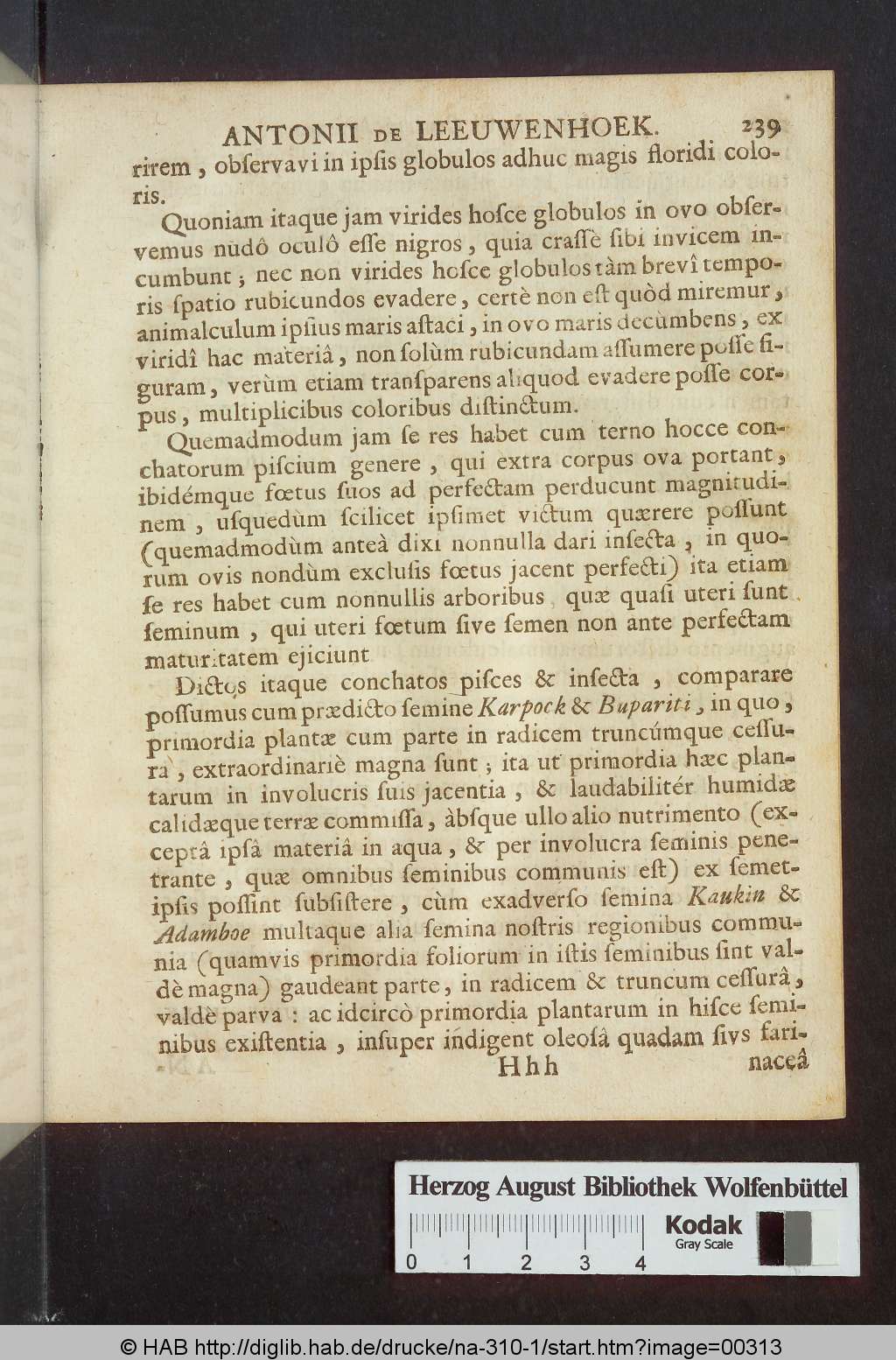 http://diglib.hab.de/drucke/na-310-1/00313.jpg