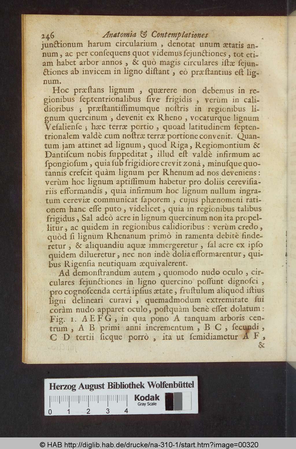 http://diglib.hab.de/drucke/na-310-1/00320.jpg