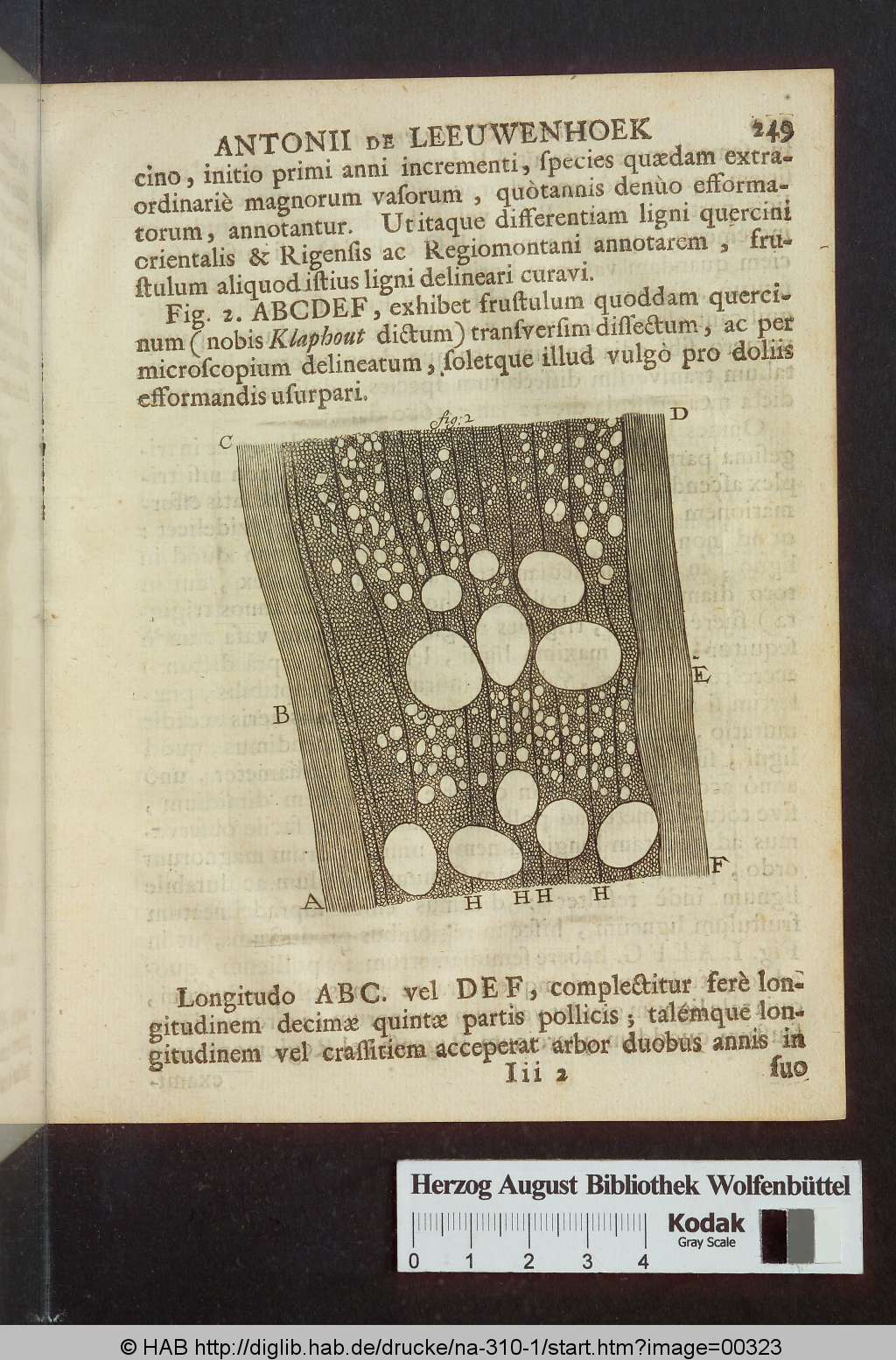 http://diglib.hab.de/drucke/na-310-1/00323.jpg