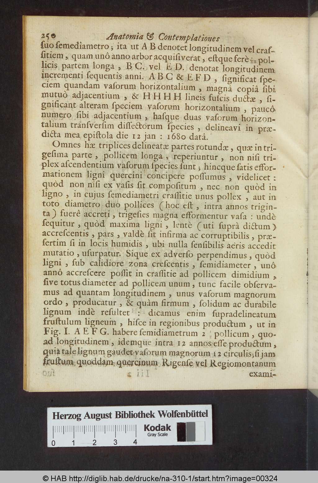 http://diglib.hab.de/drucke/na-310-1/00324.jpg