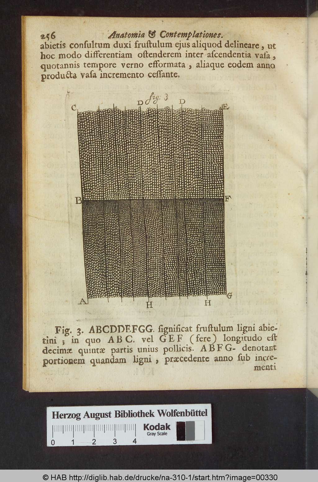 http://diglib.hab.de/drucke/na-310-1/00330.jpg