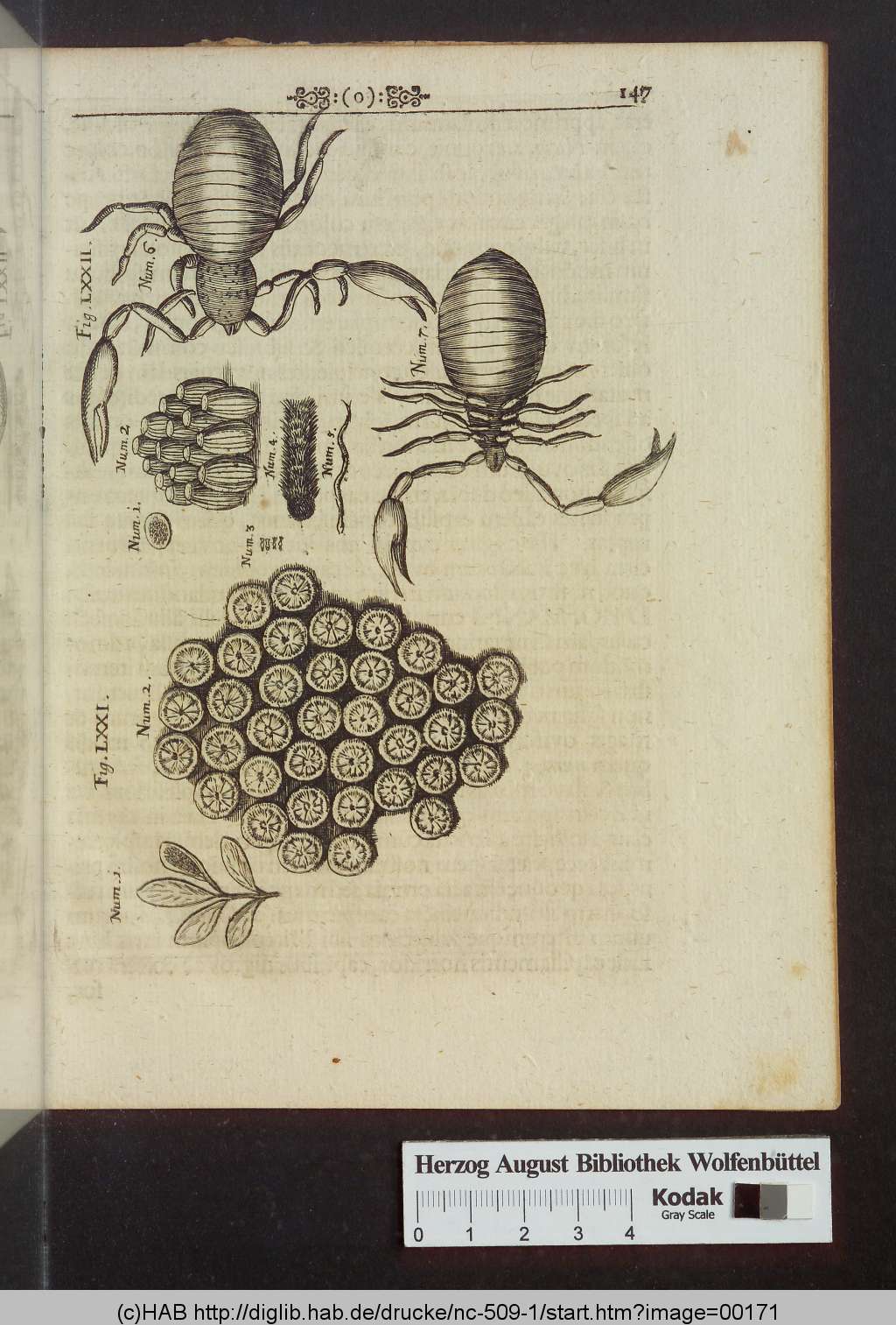 http://diglib.hab.de/drucke/nc-509-1/00171.jpg