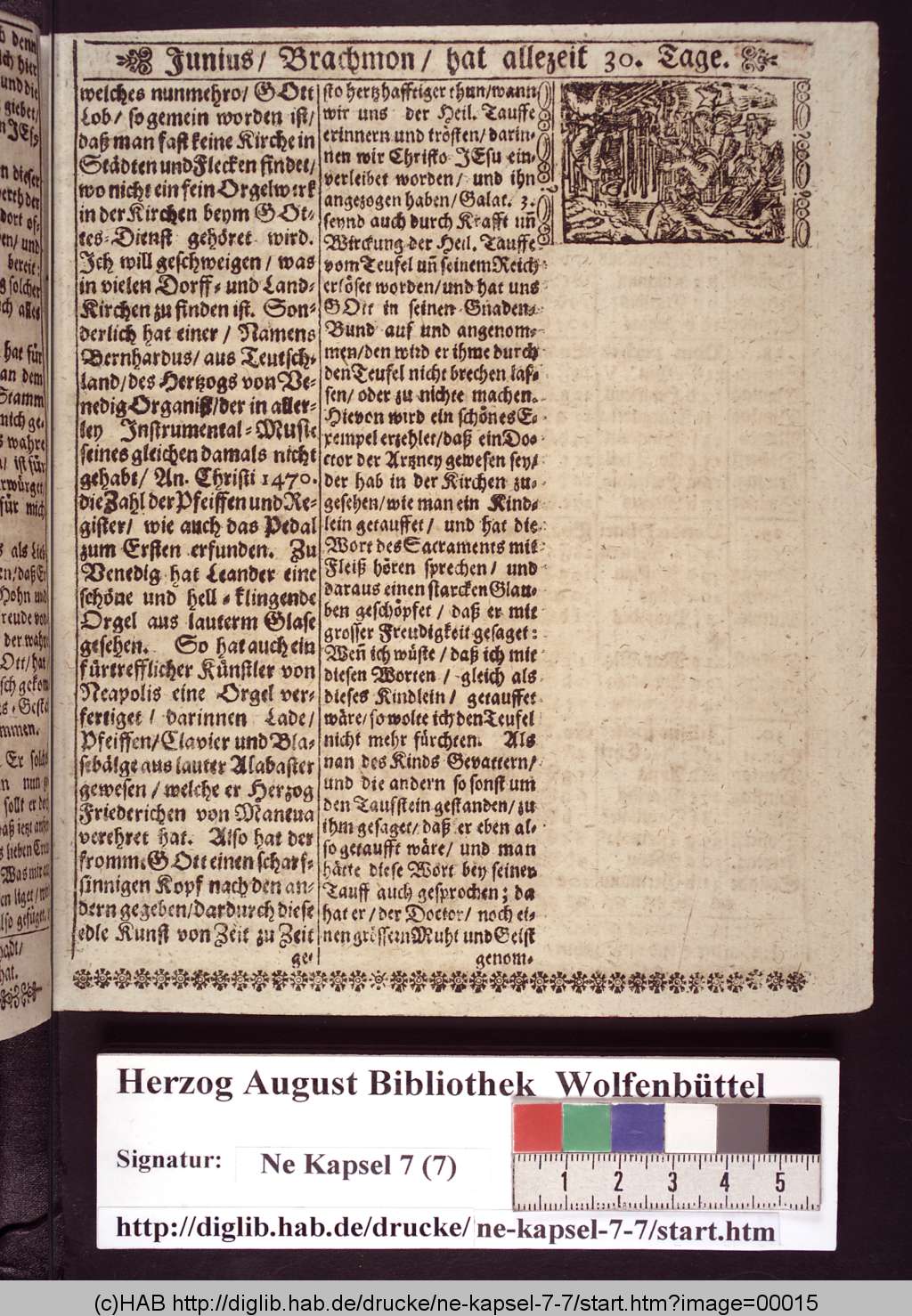 http://diglib.hab.de/drucke/ne-kapsel-7-7/00015.jpg