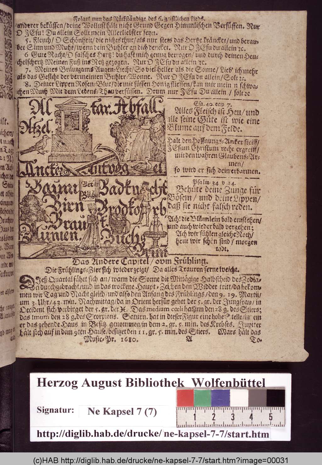 http://diglib.hab.de/drucke/ne-kapsel-7-7/00031.jpg