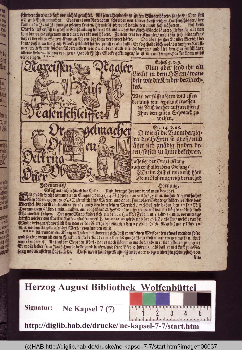 http://diglib.hab.de/drucke/ne-kapsel-7-7/00037.jpg