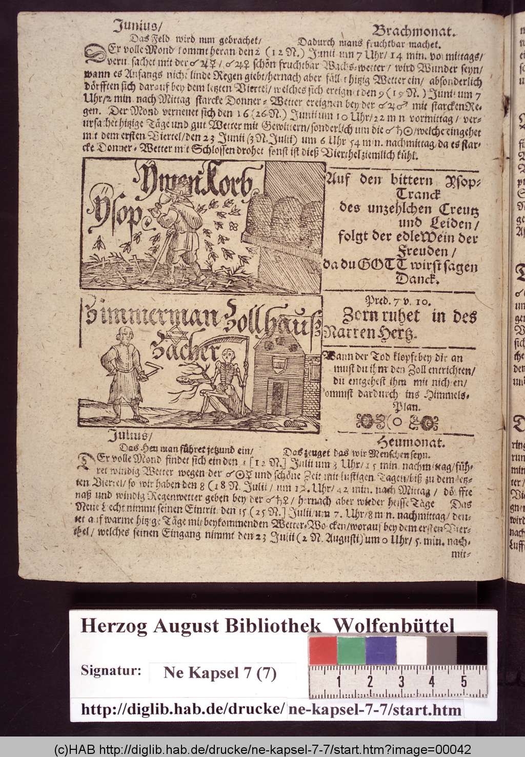 http://diglib.hab.de/drucke/ne-kapsel-7-7/00042.jpg