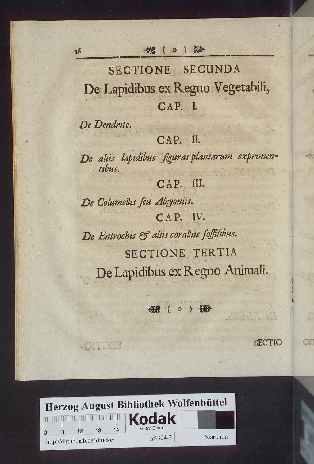 http://diglib.hab.de/drucke/nf-304-2/00016.jpg