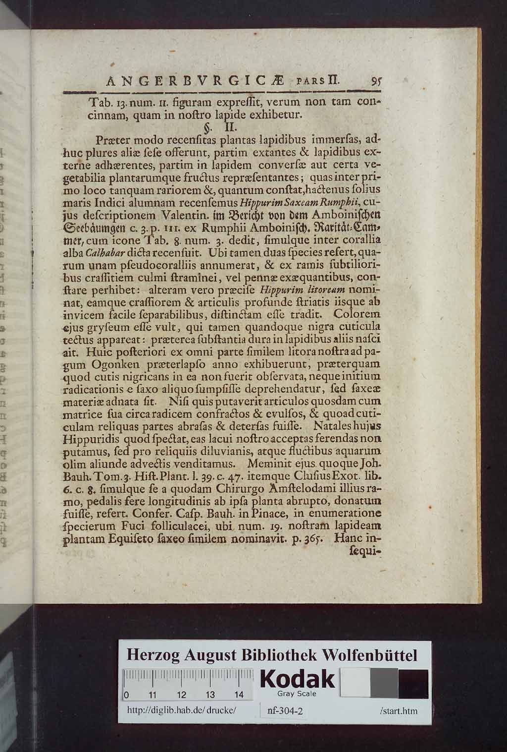 http://diglib.hab.de/drucke/nf-304-2/00095.jpg