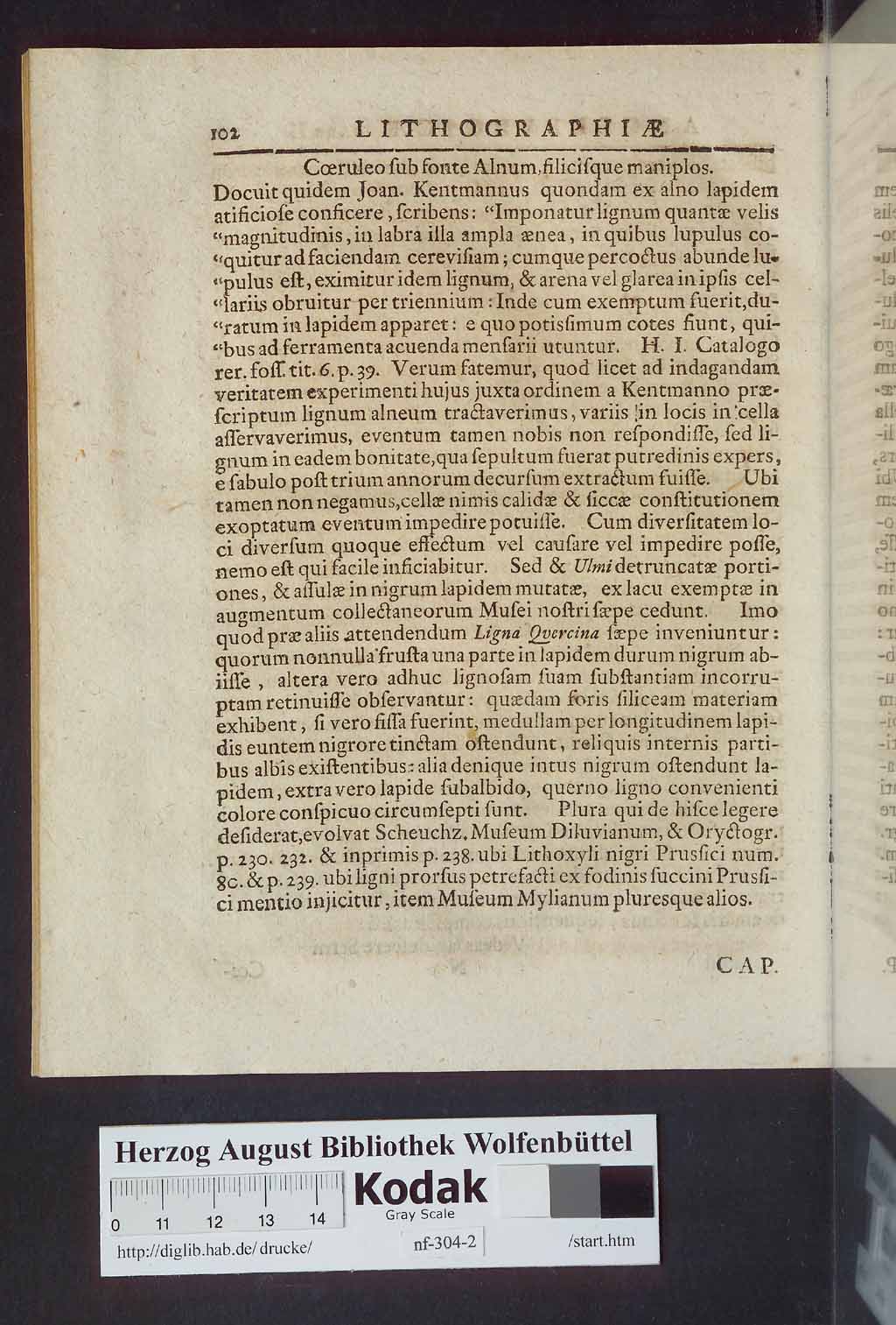 http://diglib.hab.de/drucke/nf-304-2/00102.jpg