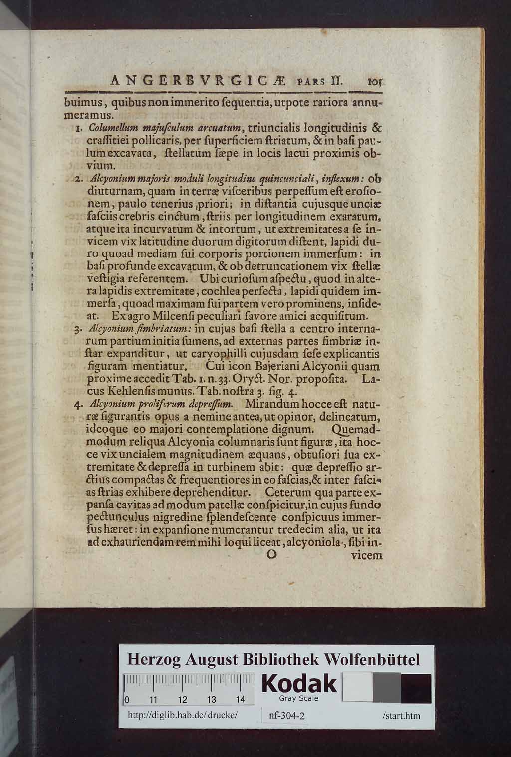 http://diglib.hab.de/drucke/nf-304-2/00105.jpg