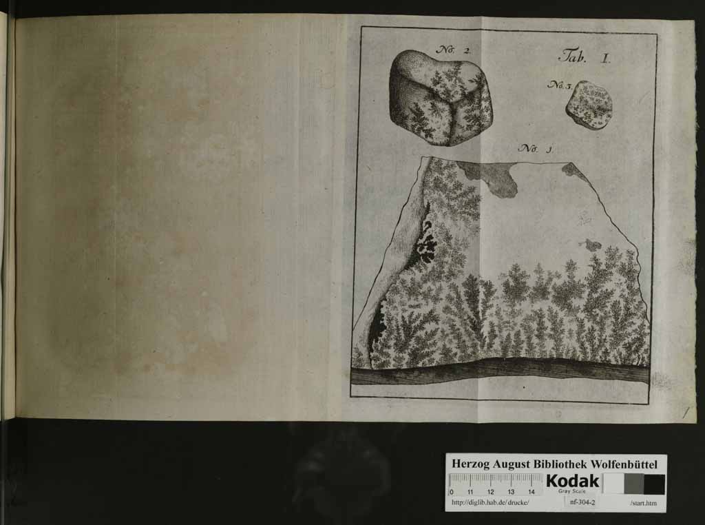 http://diglib.hab.de/drucke/nf-304-2/00135a.jpg