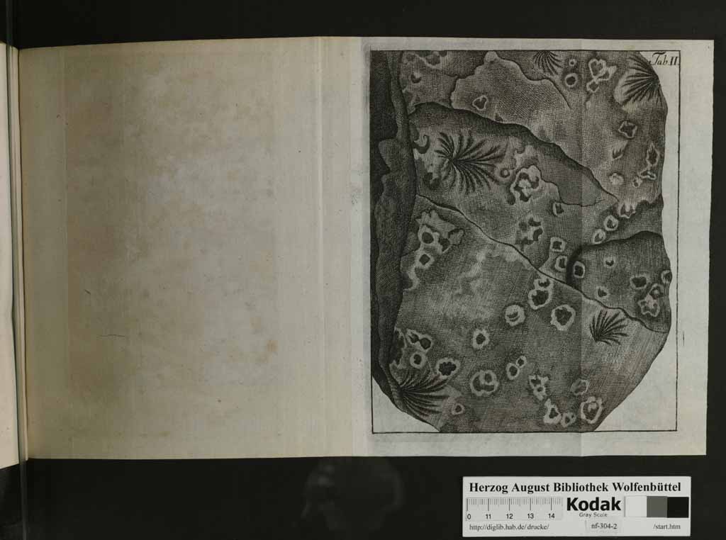 http://diglib.hab.de/drucke/nf-304-2/00135b.jpg