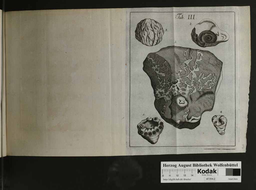 http://diglib.hab.de/drucke/nf-304-2/00135c.jpg