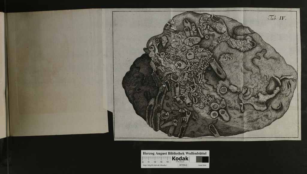 http://diglib.hab.de/drucke/nf-304-2/00135d.jpg