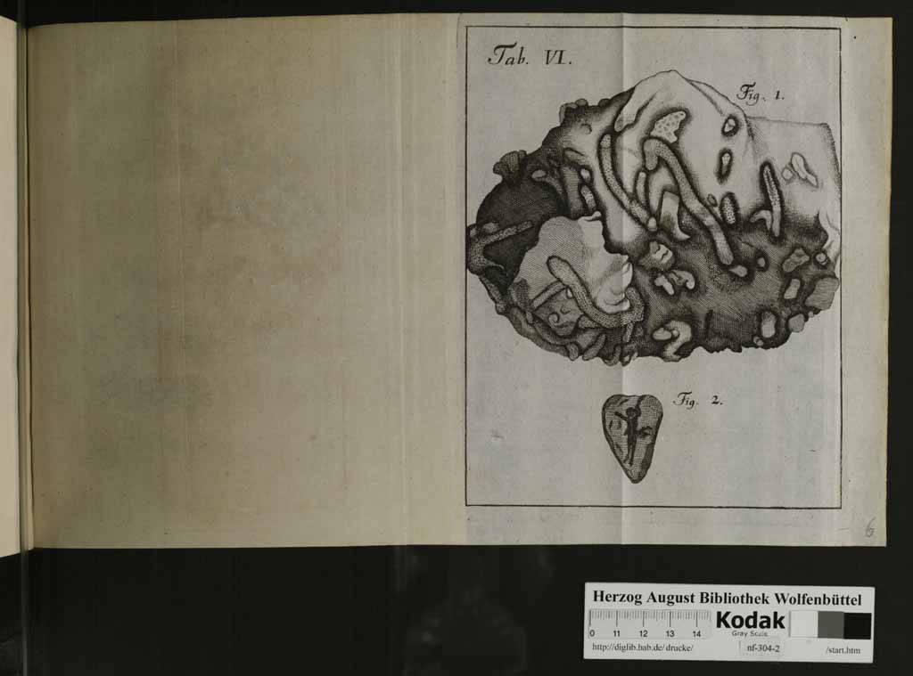 http://diglib.hab.de/drucke/nf-304-2/00135f.jpg