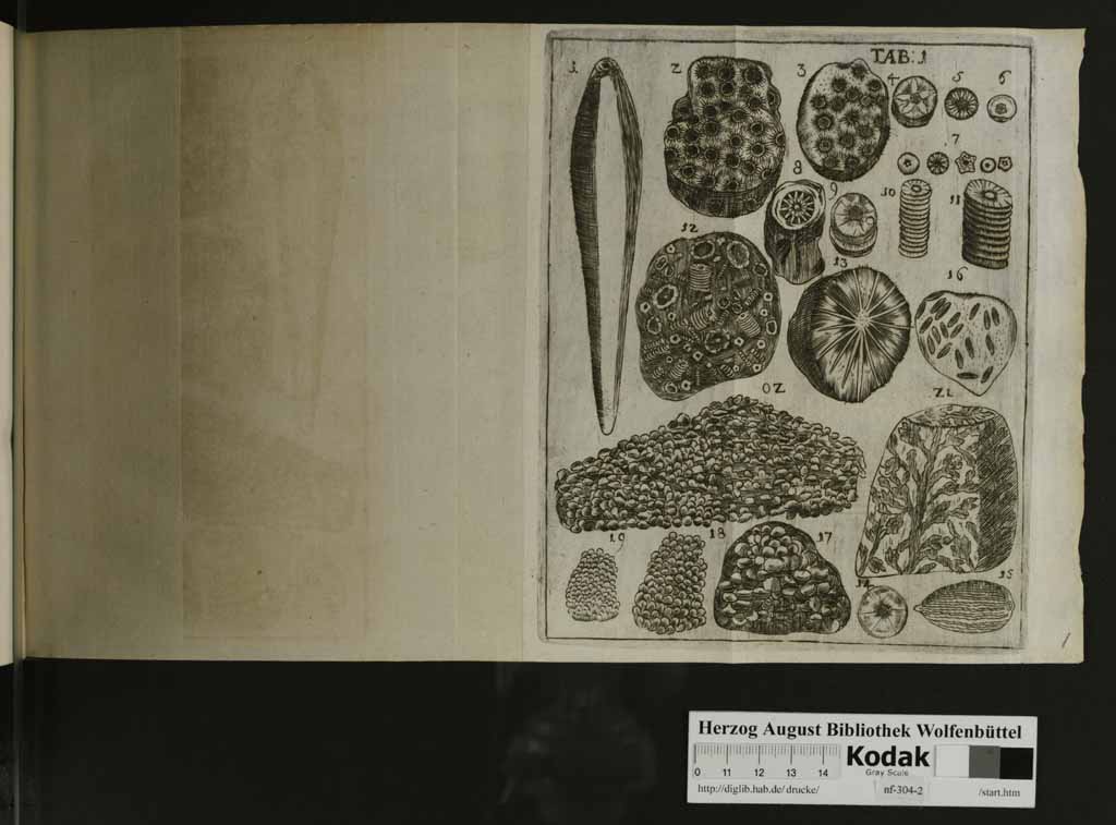 http://diglib.hab.de/drucke/nf-304-2/00135g.jpg
